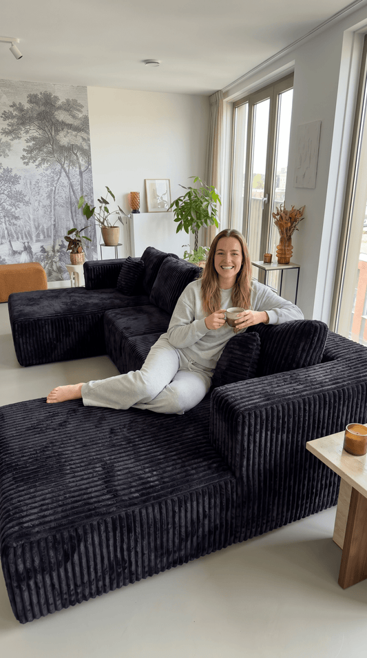 Modular Cloud Sofa in a Box: Free Shipping, Easy Setup - LDH Furniture